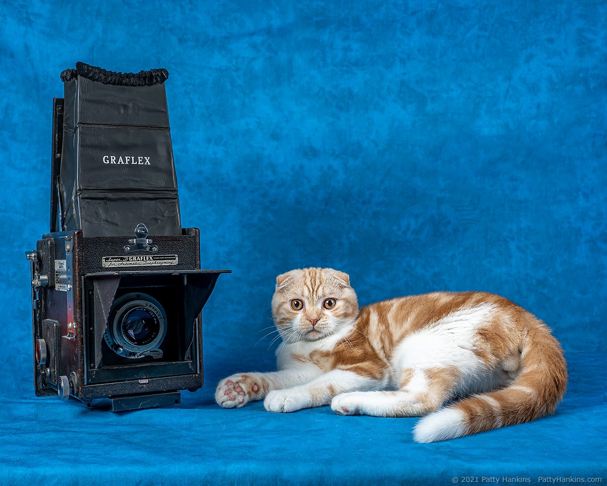 Gus and his Graflex © 2021 Patty Hankins