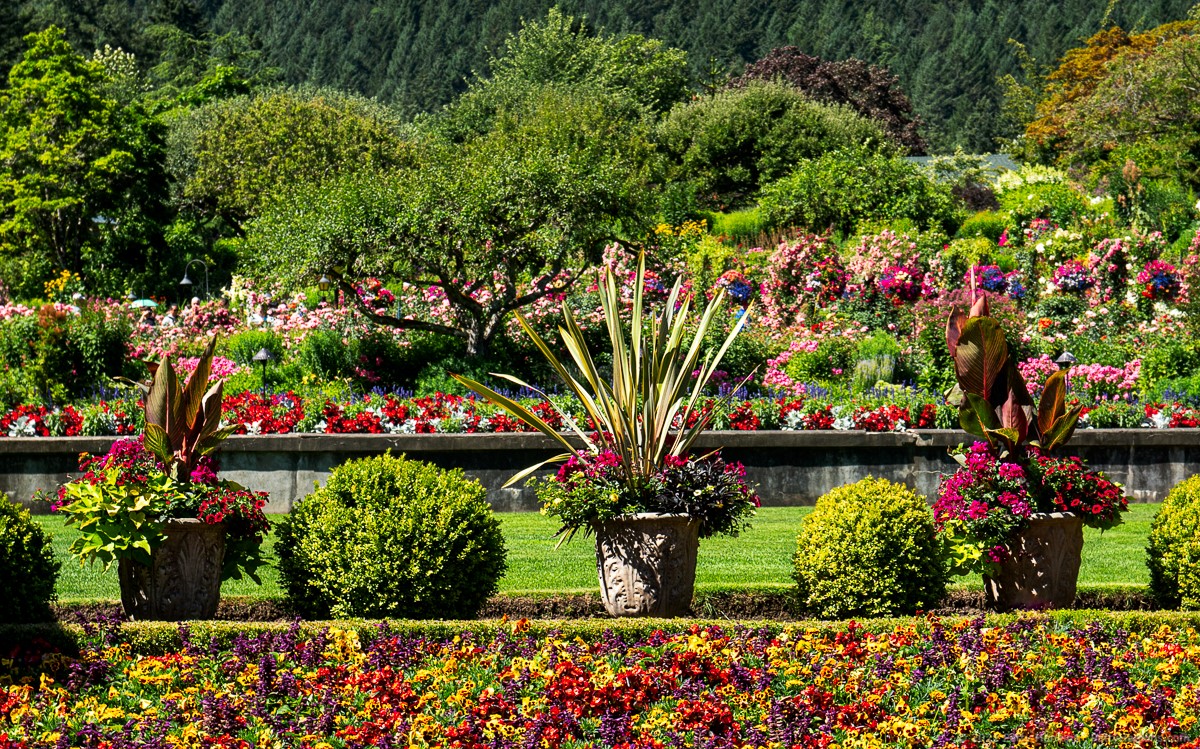 At Butchart Gardens © 2021 Patty Hankins