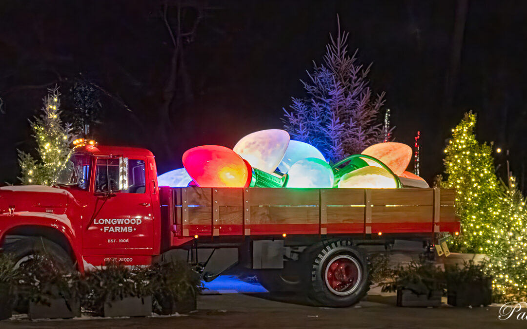 Christmas at Longwood Gardens 2024