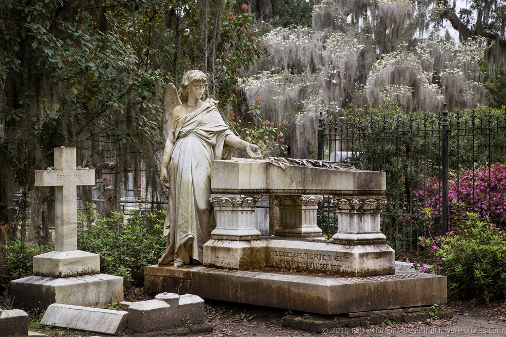 bonaventure_cemetery_3004-1